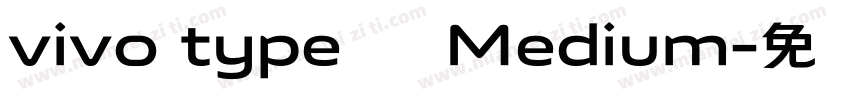 vivo type 简 Medium字体转换